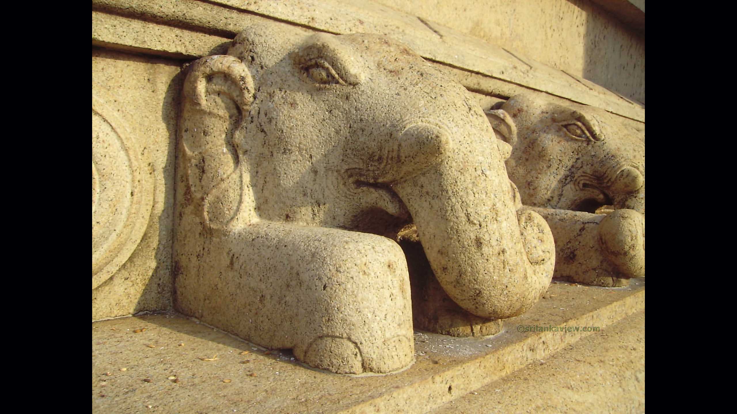 Stone carved Elephant figures at Ruwanweliseya Vahalkada